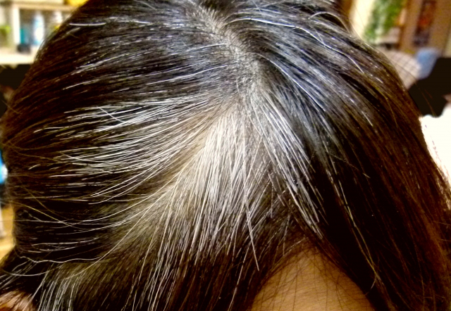 白髪が増える３つの原因 黒髪に戻る確率は 割 今すぐ知っておきたい白髪のこと 銀座のヘッドスパ専門店 Carina Ginza カリーナ ギンザ