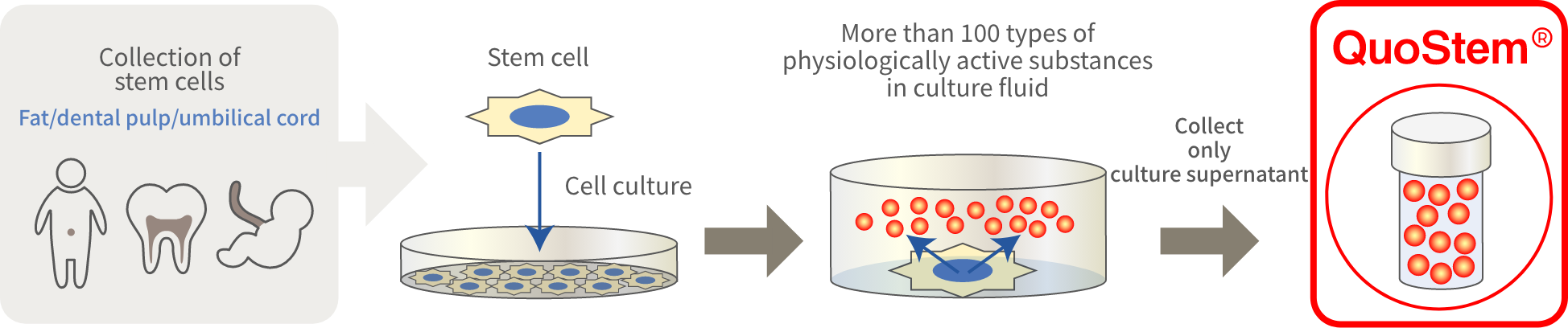 What is stem cell culture supernatant?