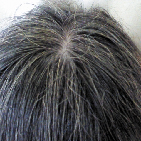 白髪が増える３つの原因 黒髪に戻る確率は 割 今すぐ知っておきたい白髪のこと 銀座のヘッドスパ専門店 Carina Ginza カリーナ ギンザ