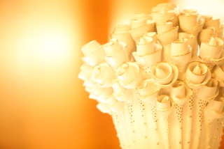 オープンから一年を迎えました。