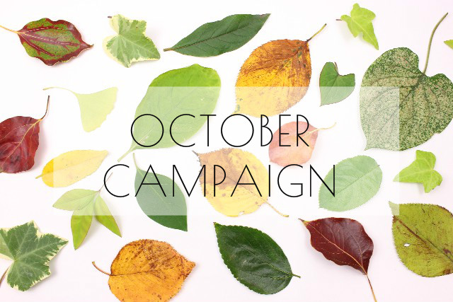 OCTOBER CAMPAIGN