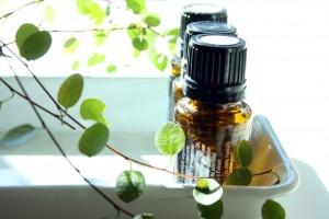 『スロー・エイジングコース』がメニューに仲間入りしました。