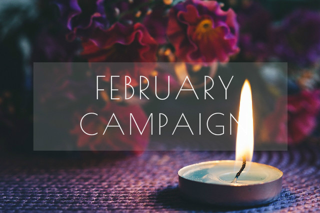 FEBRUARY　CAMPAIGN