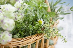 チャット機能が付きました