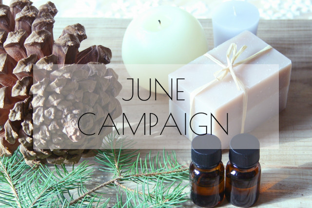 JUNE CAMPAIGN