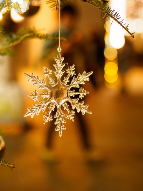 【モニター】ご協力をお願いします