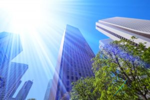 恐ろしい 頭皮と髪の「夏老化」！！