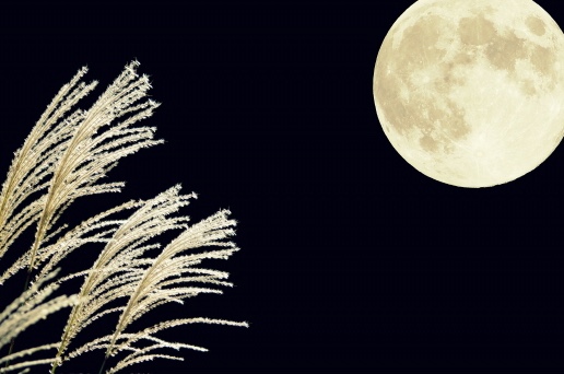 【お願い】ご予約時に「予約確定メール」が届かなかった方はお問い合わせください。