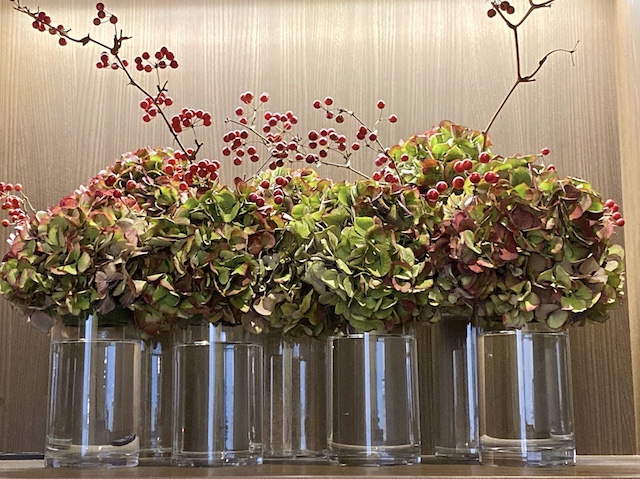 弊店はお陰様で開店五周年を迎えることになりました。