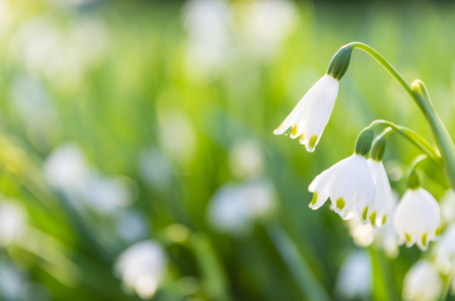【重要】休業期間延長のお知らせ