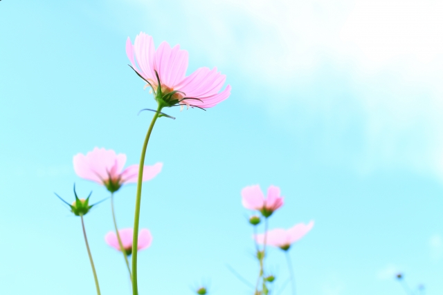 9月 休業日のお知らせ