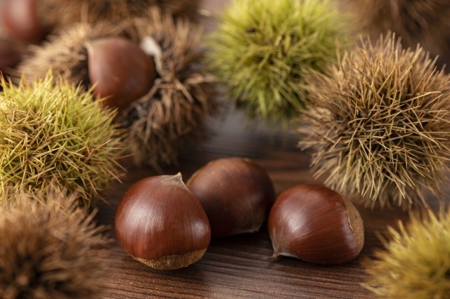 10月のお知らせ