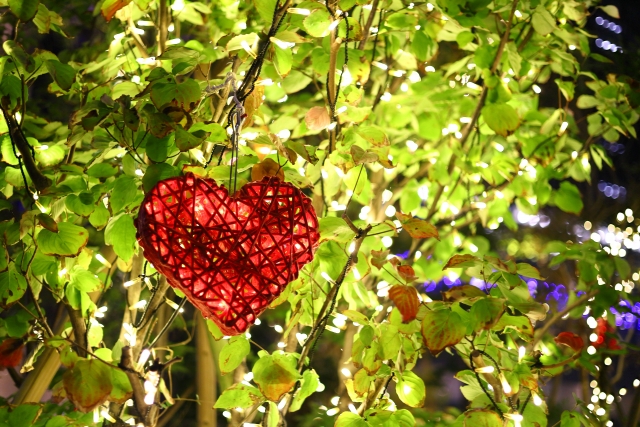 2月のお知らせ(Jan.2024)